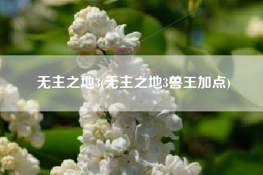 无主之地3(无主之地3兽王加点)