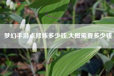 梦幻手游点修炼多少钱,大概需要多少钱
