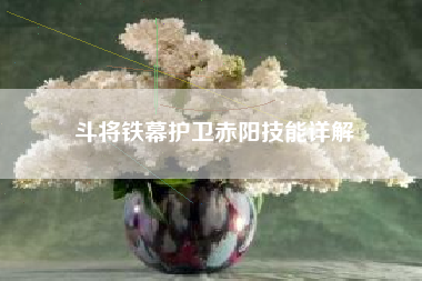 斗将铁幕护卫赤阳技能详解