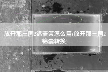 放开那三国2锦囊策怎么用(放开那三国2锦囊转换)