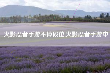 火影忍者手游不掉段位,火影忍者手游中