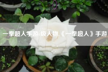 一拳超人手游r级人物,《一拳超人》手游
