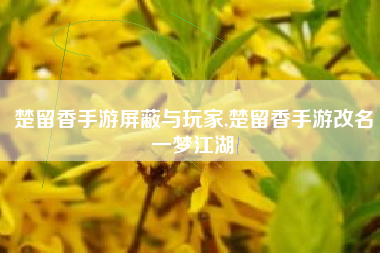 楚留香手游屏蔽与玩家,楚留香手游改名一梦江湖