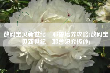 数码宝贝新世纪咲耶兽培养攻略(数码宝贝新世纪咲耶兽超究极体)