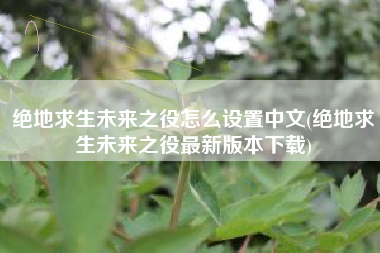 绝地求生未来之役怎么设置中文(绝地求生未来之役最新版本下载)