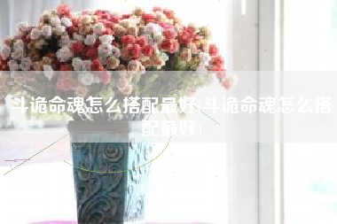 斗诡命魂怎么搭配最好(斗诡命魂怎么搭配最好)
