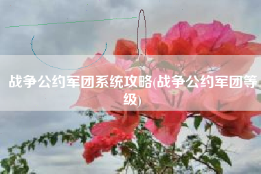 战争公约军团系统攻略(战争公约军团等级)