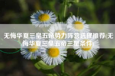 无悔华夏三皇五帝势力阵营选择推荐(无悔华夏三皇五帝三星条件)