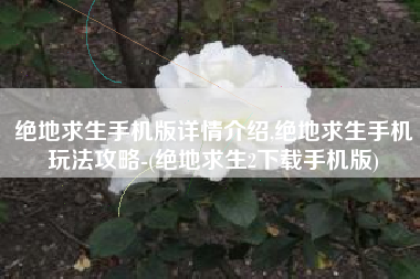 绝地求生手机版详情介绍,绝地求生手机玩法攻略-(绝地求生2下载手机版)