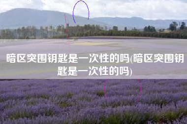暗区突围钥匙是一次性的吗(暗区突围钥匙是一次性的吗)