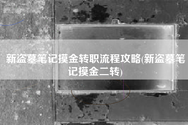 新盗墓笔记摸金转职流程攻略(新盗墓笔记摸金二转)