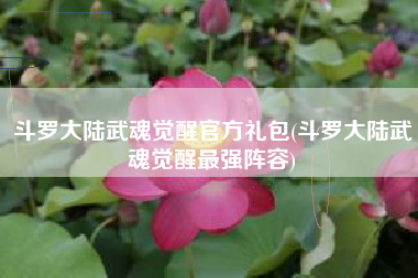 斗罗大陆武魂觉醒官方礼包(斗罗大陆武魂觉醒最强阵容)