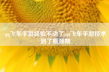 qq飞车手游经验不动了,qq飞车手游技术到了瓶颈期