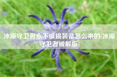 冰原守卫者永不破损装备怎么来的(冰原守卫者破解版)
