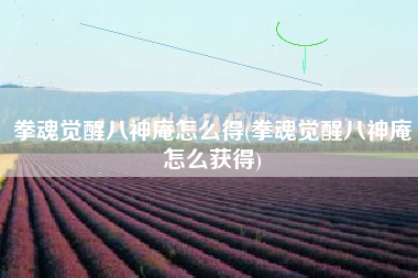 拳魂觉醒八神庵怎么得(拳魂觉醒八神庵怎么获得)