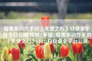 暗黑系动作手游《天使之石》安卓全平台今日公测[视频][多图](暗黑系动作手游《天使之石》5月25日安卓全平台公测)