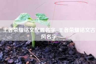 王者荣耀铭文配置名字_王者荣耀铭文古风名字