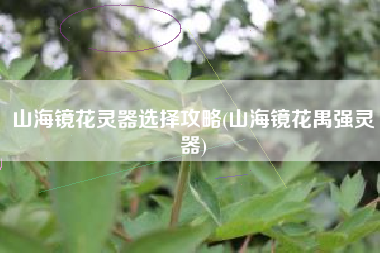 山海镜花灵器选择攻略(山海镜花禺强灵器)