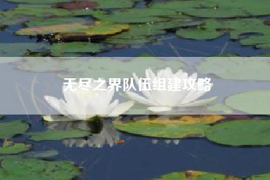 无尽之界队伍组建攻略