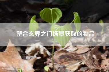 整合玄界之门场景获取的物品