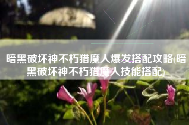 暗黑破坏神不朽猎魔人爆发搭配攻略(暗黑破坏神不朽猎魔人技能搭配)
