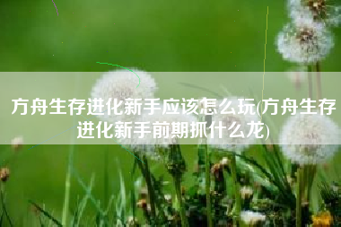 方舟生存进化新手应该怎么玩(方舟生存进化新手前期抓什么龙)