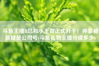 斗鱼主播B总和小王哥正式开干！神豪被质疑是公司号(斗鱼礼物主播分成多少)