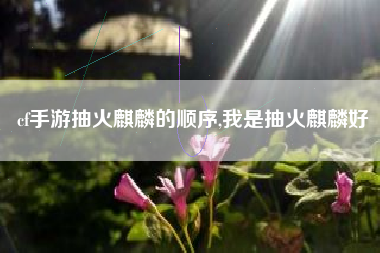 cf手游抽火麒麟的顺序,我是抽火麒麟好