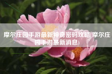 摩尔庄园手游最新神奇密码攻略(摩尔庄园手游最新消息)