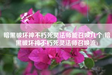 暗黑破坏神不朽死灵法师能召唤几个(暗黑破坏神不朽死灵法师召唤流)