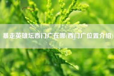 暴走英雄坛西门广在哪(西门广位置介绍)