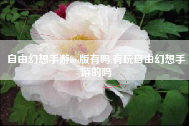 自由幻想手游ios版有吗,有玩自由幻想手游的吗