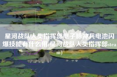 星河战队人类指挥部电子脉冲兵电池闪爆技能有什么用(星河战队人类指挥部steam)