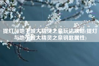 提灯与地下城大精灵之泉玩法攻略(提灯与地下城大精灵之泉钥匙属性)
