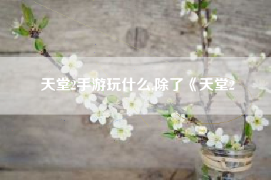 天堂2手游玩什么,除了《天堂2