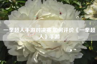 一拳超人手游对决赛,如何评价《一拳超人》手游