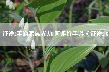 征途2手游家族卷,如何评价手游《征途2》