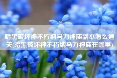 暗黑破坏神不朽纳马力神庙副本怎么通关(暗黑破坏神不朽纳马力神庙在哪里)