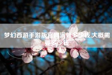 梦幻西游手游版官网满修多少钱,大概需要多少钱