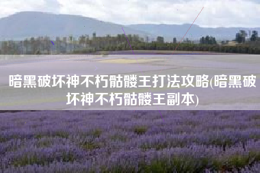暗黑破坏神不朽骷髅王打法攻略(暗黑破坏神不朽骷髅王副本)