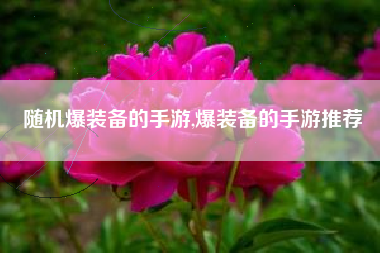 随机爆装备的手游,爆装备的手游推荐