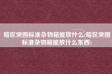 暗区突围标准杂物箱能放什么(暗区突围标准杂物箱能放什么东西)