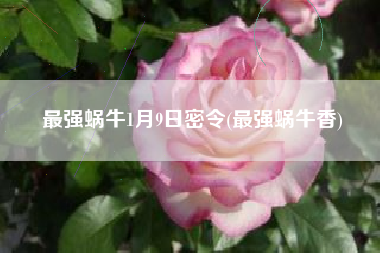 最强蜗牛1月9日密令(最强蜗牛香)