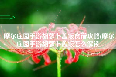 摩尔庄园手游胡萝卜盖饭食谱攻略(摩尔庄园手游胡萝卜盖饭怎么解锁)