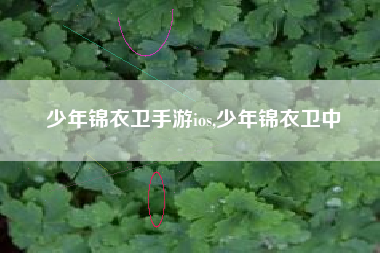 少年锦衣卫手游ios,少年锦衣卫中