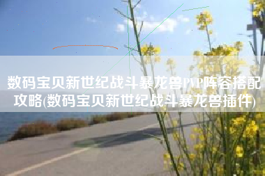 数码宝贝新世纪战斗暴龙兽PVP阵容搭配攻略(数码宝贝新世纪战斗暴龙兽插件)