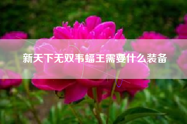 新天下无双韦蝠王需要什么装备