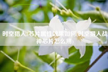 时空猎人3芯片属性效果如何(时空猎人战神芯片怎么用)