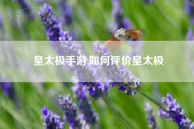 皇太极手游,如何评价皇太极