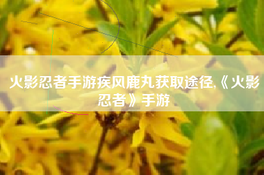 火影忍者手游疾风鹿丸获取途径,《火影忍者》手游